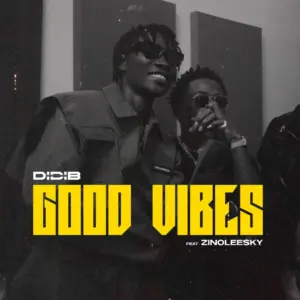 Didi B - Good Vibes Ft. Zinoleesky