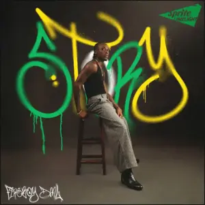 Story audio by Fireboy DML & Take A Daytrip