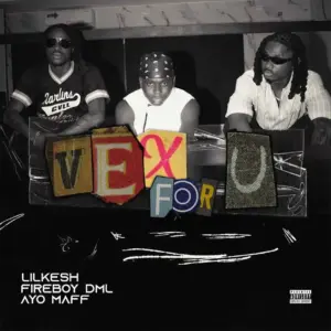 Vex For U audio by Lil Kesh feat. Ayo Maff and Fireboy DML