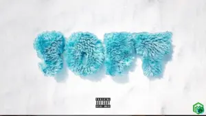 Nasty C - Soft ft Usimamane