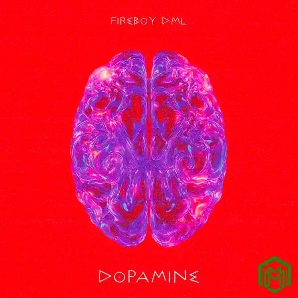 Dopamine audio by Fireboy DML