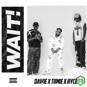 Dawie - Wait ft. Hyce, Tiimie