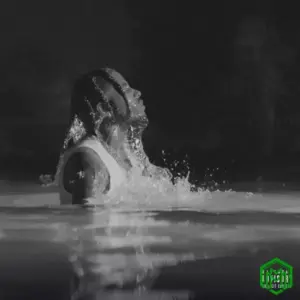 BLVCK & WHiTE Album audio by FLVME