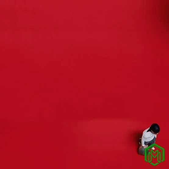 Leftie (Dlala Ngcobo) audio by Nasty C feat. Blxckie