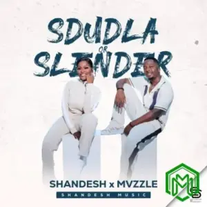 Sdudla or Slender audio by Shandesh ft. Mvzzle
