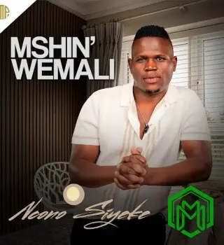 Ncono Siyeke audio by Mshinwemali feat. Shenge wasehlalankosi