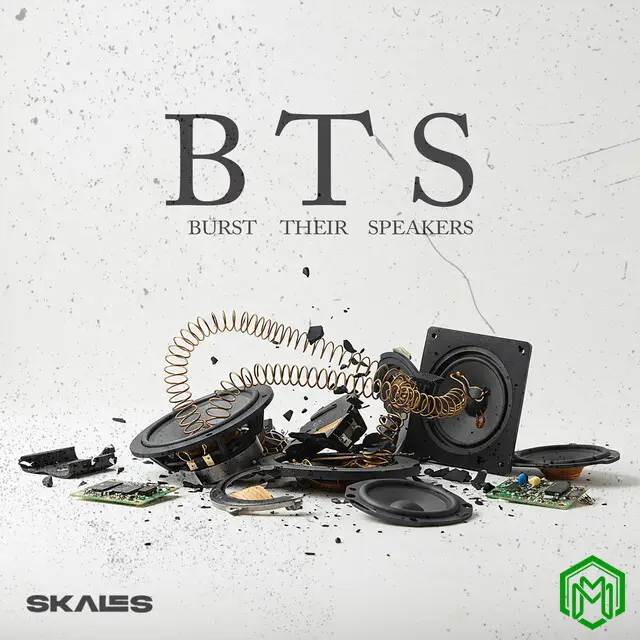 B.T.S (Burst Their Speakers) audio by Skales