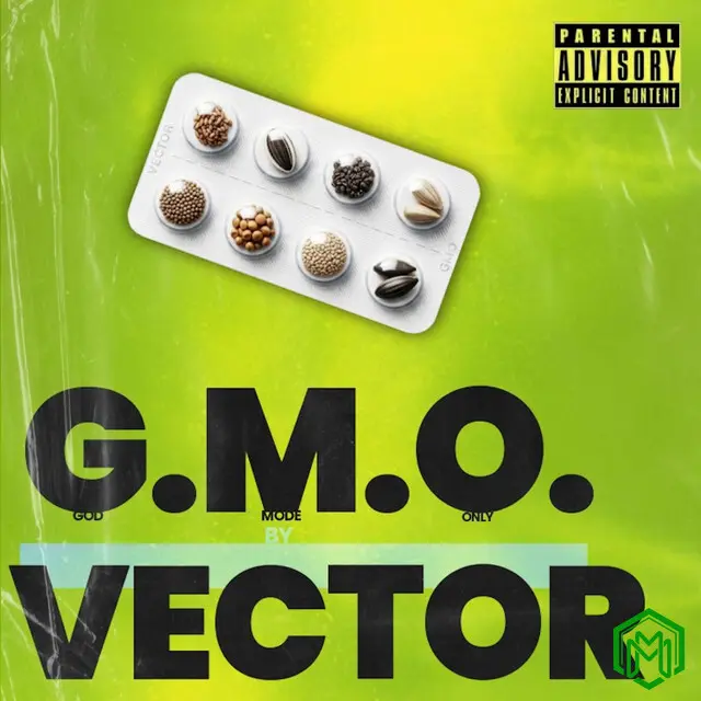 G.M.O (Freestyle) audio by Vector