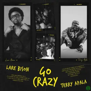 Go Crazy audio by Lare Bison feat. Terry Apala