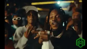 Naira Marley - Cartoon (Video)