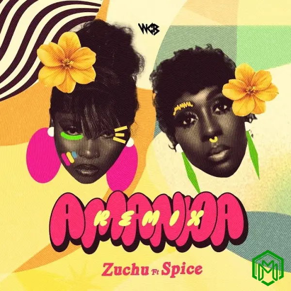 Amanda (Remix) audio by Zuchu ft. Spice