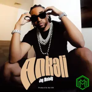 Ankali audio by Jay Melody