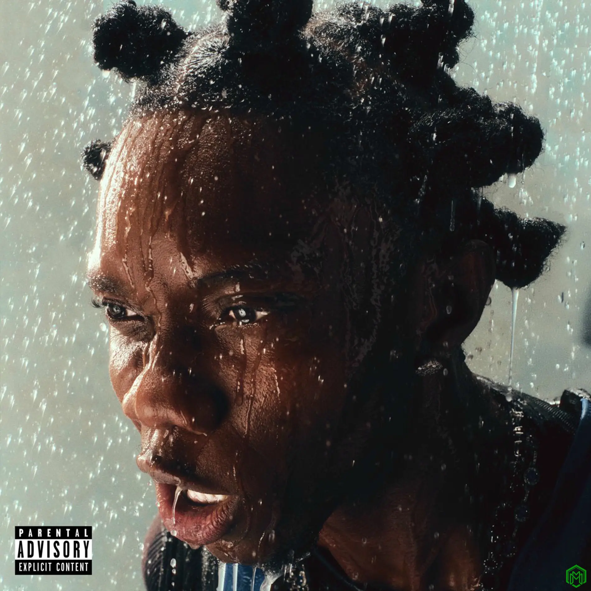 No Excuses Album audio by Blaqbonez