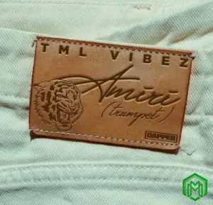 Amiri (Trumpet) audio by TML Vibez