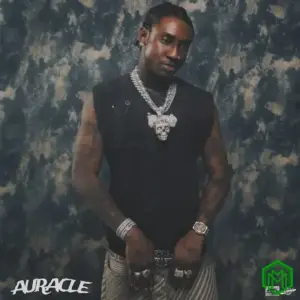 Shallipopi - Searching 4 me