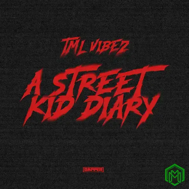 A Street Kid Diary Album audio by TML Vibez