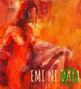 Emi Ni Data audio by Skales feat. Oumou Sangaré, Omo Ebira Beatz